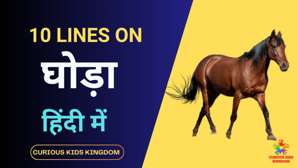 essay on horse baby in hindi